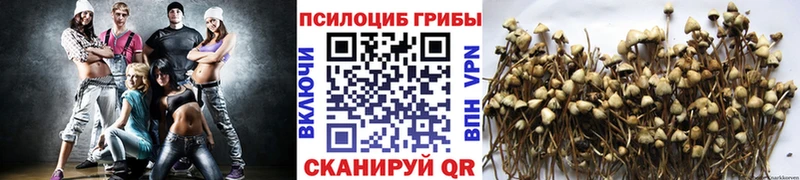 Галлюциногенные грибы мицелий  Купить  Касимов 